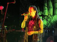 Amorphis 2014