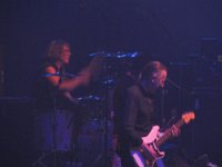 Krokus 08