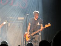 The New Roses 2023 08