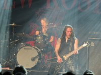 The New Roses 2023 09