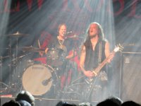 The New Roses 2023 11